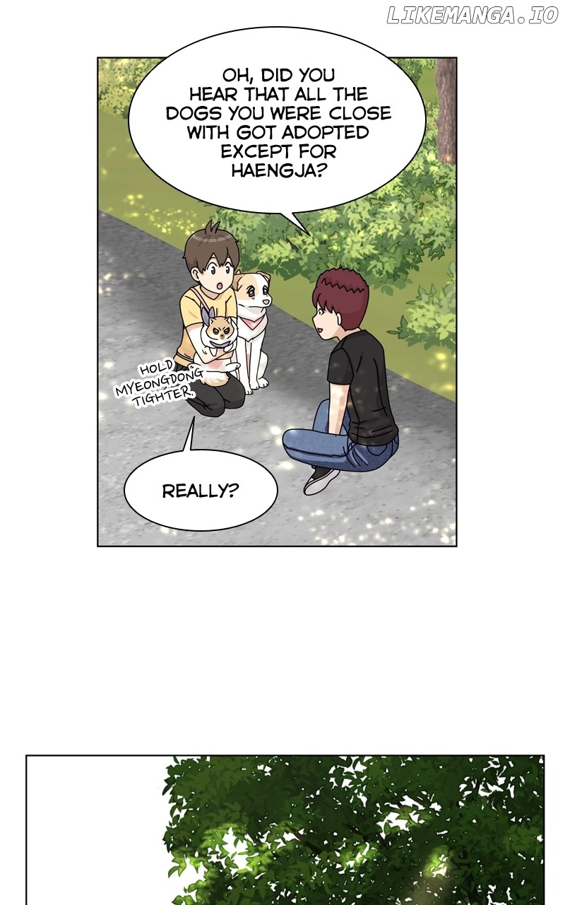 The Dog Diaries Chapter 167 - page 47