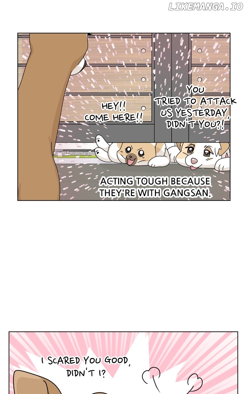 The Dog Diaries Chapter 168 - page 19