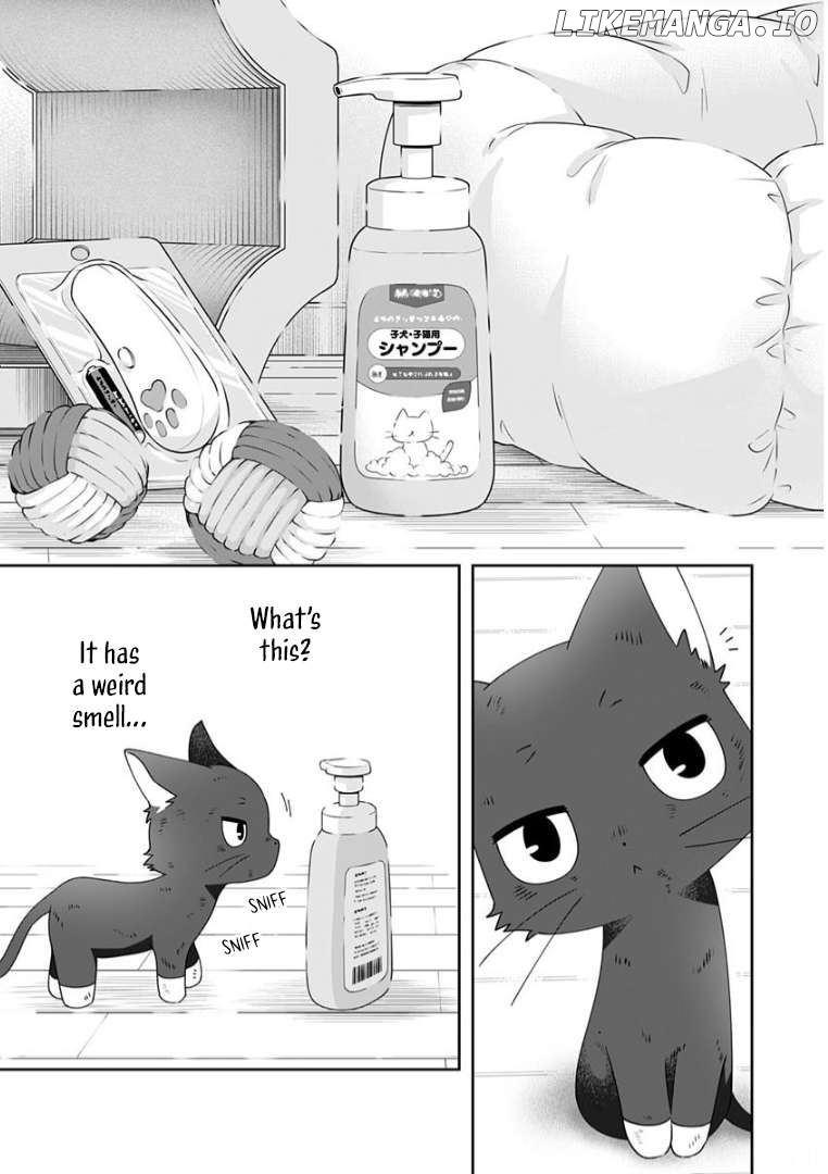 My Kitten Is A Picky Eater Chapter 7 - page 3