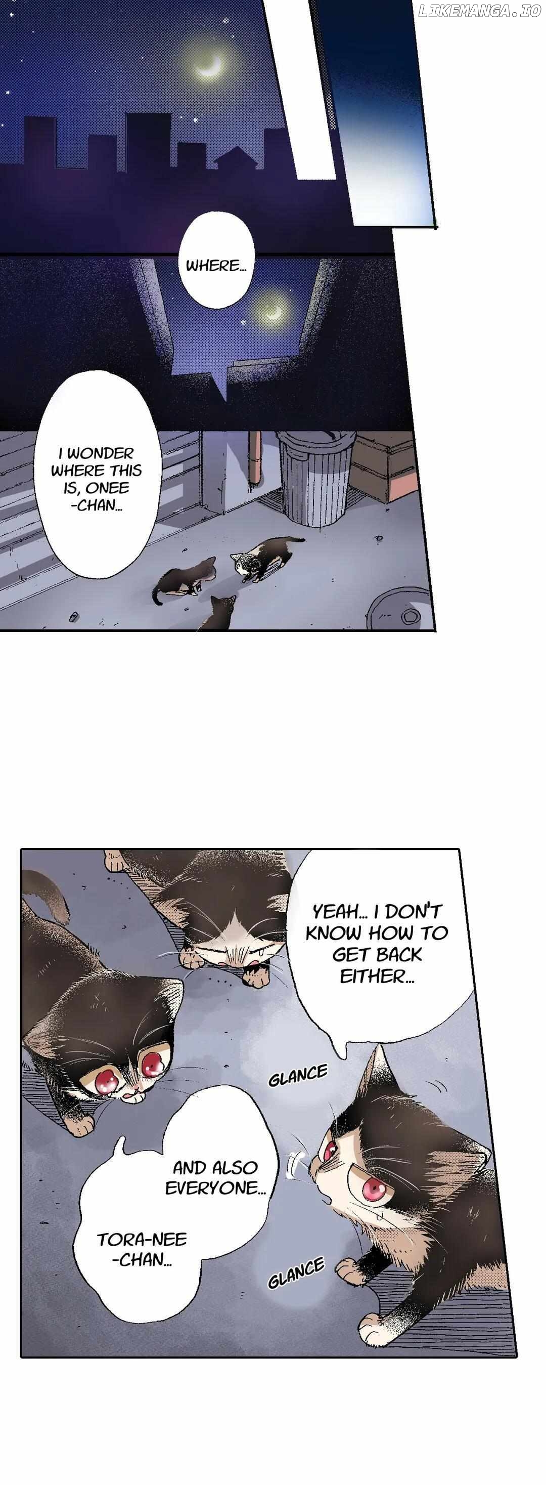 Doukyonin wa Hiza, Tokidoki, Atama no Ue. chapter 50 - page 21