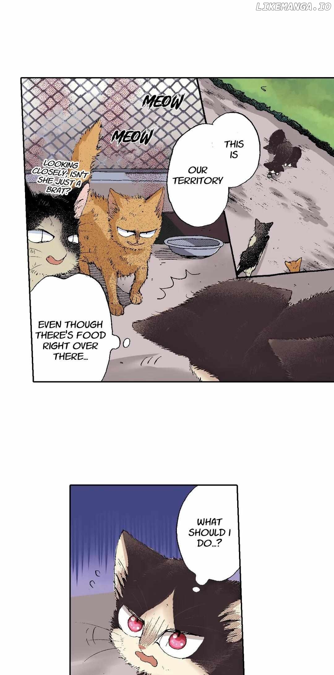 Doukyonin wa Hiza, Tokidoki, Atama no Ue. chapter 51 - page 2