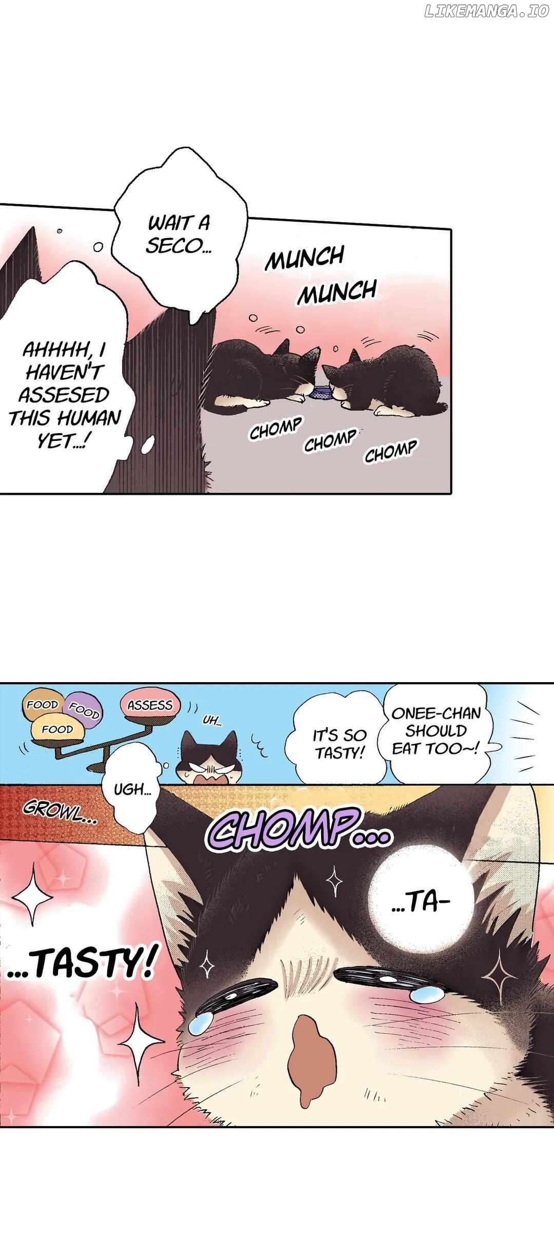 Doukyonin wa Hiza, Tokidoki, Atama no Ue. chapter 51 - page 7