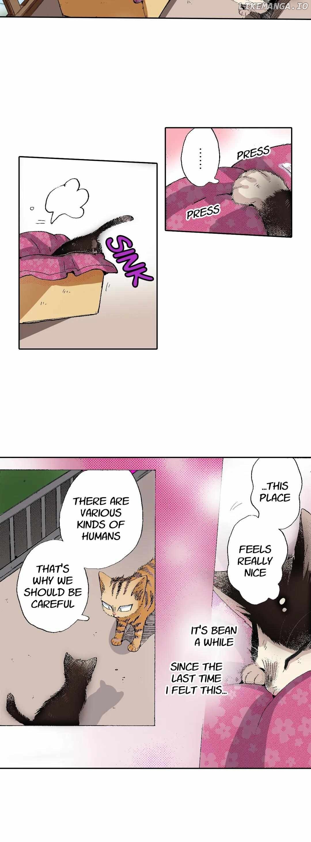Doukyonin wa Hiza, Tokidoki, Atama no Ue. chapter 53 - page 14