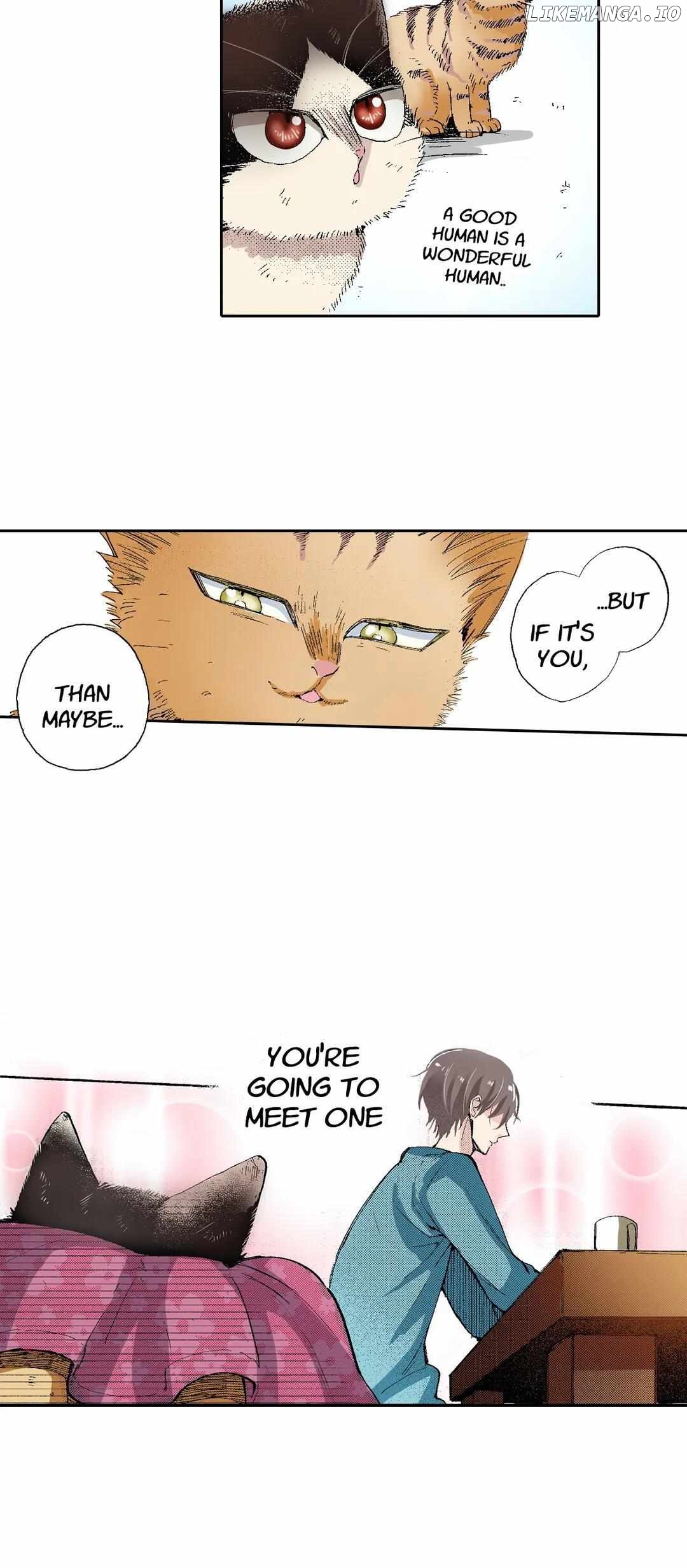 Doukyonin wa Hiza, Tokidoki, Atama no Ue. chapter 53 - page 16