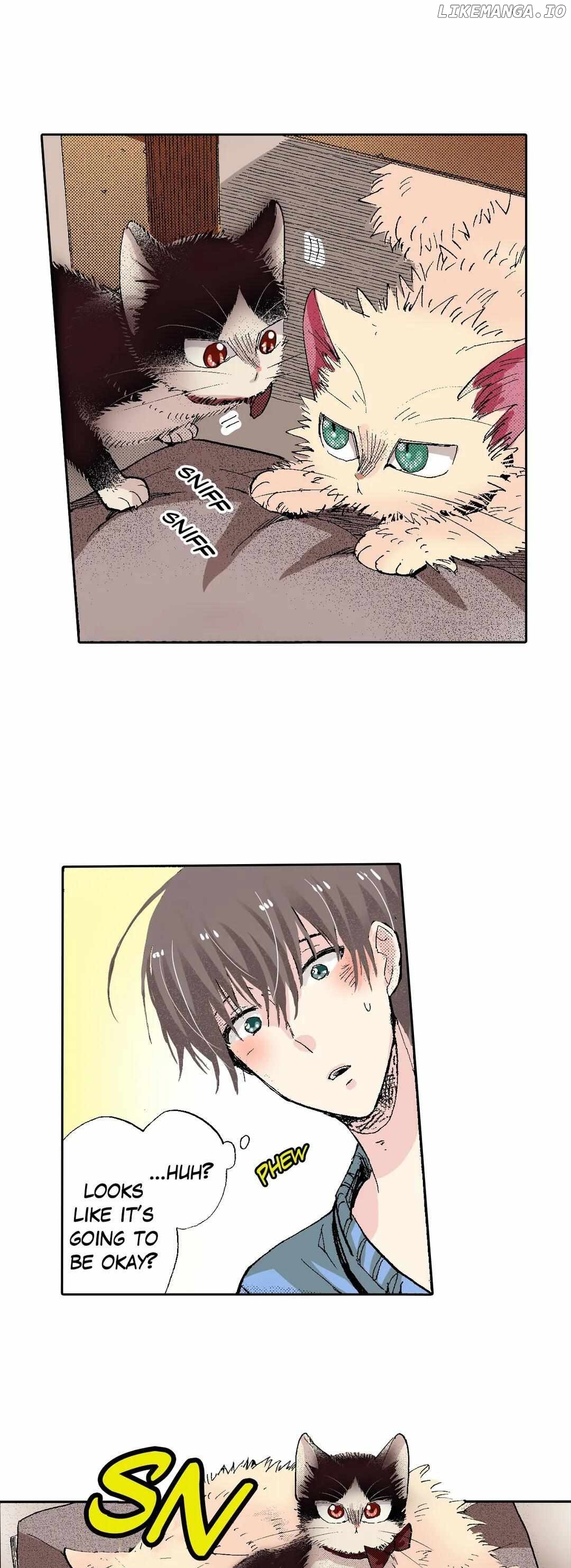 Doukyonin wa Hiza, Tokidoki, Atama no Ue. chapter 54 - page 11
