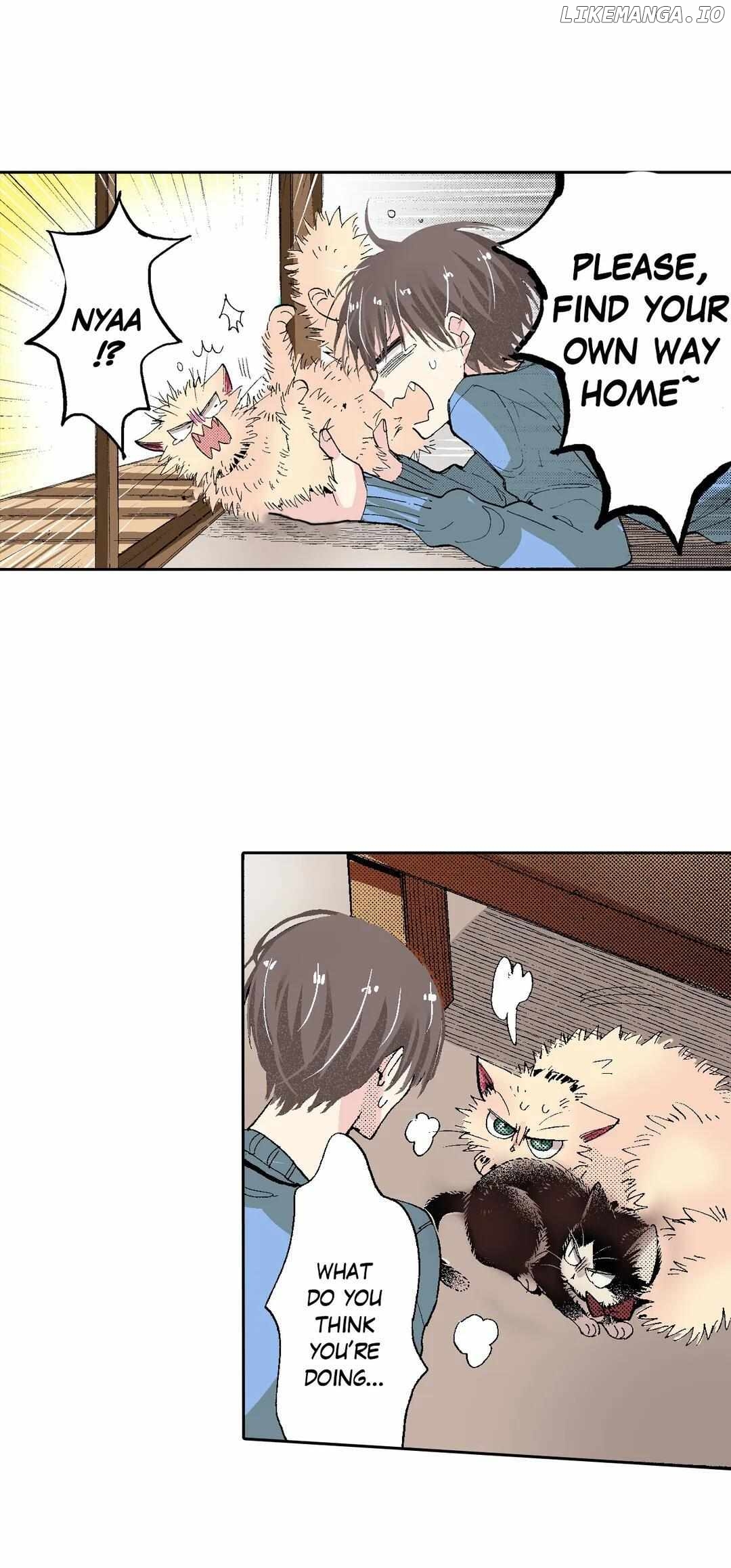 Doukyonin wa Hiza, Tokidoki, Atama no Ue. chapter 54 - page 21