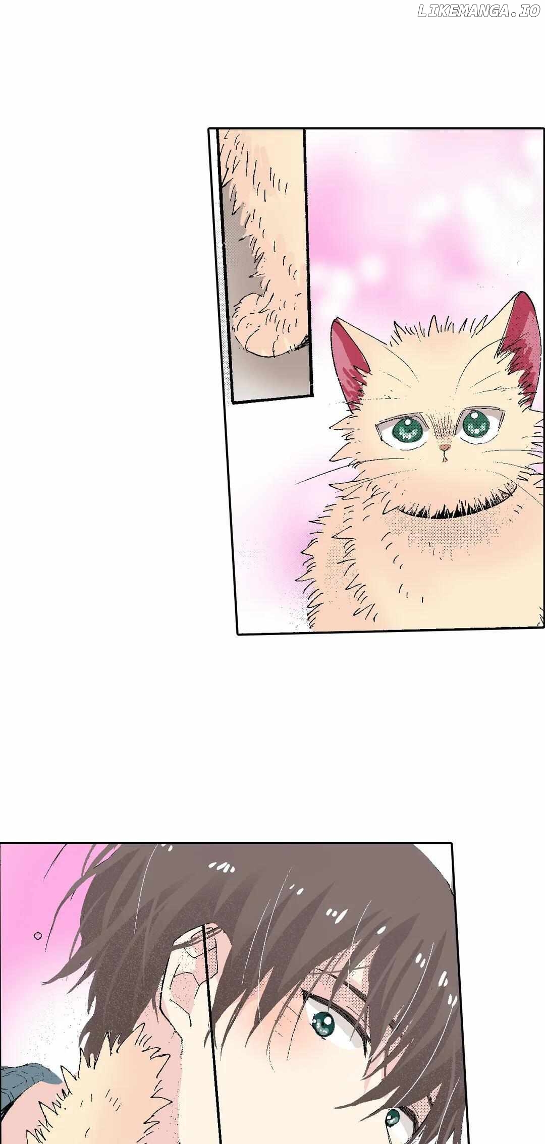 Doukyonin wa Hiza, Tokidoki, Atama no Ue. chapter 54 - page 31
