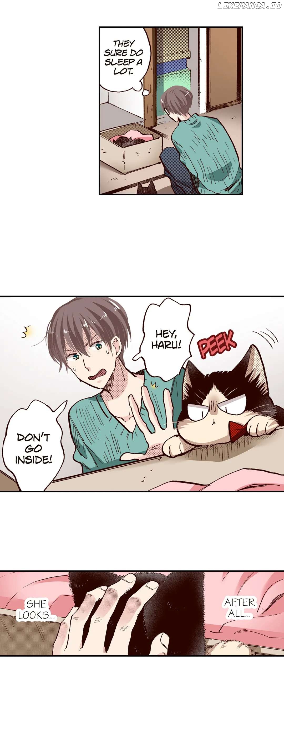 Doukyonin wa Hiza, Tokidoki, Atama no Ue. chapter 64 - page 10