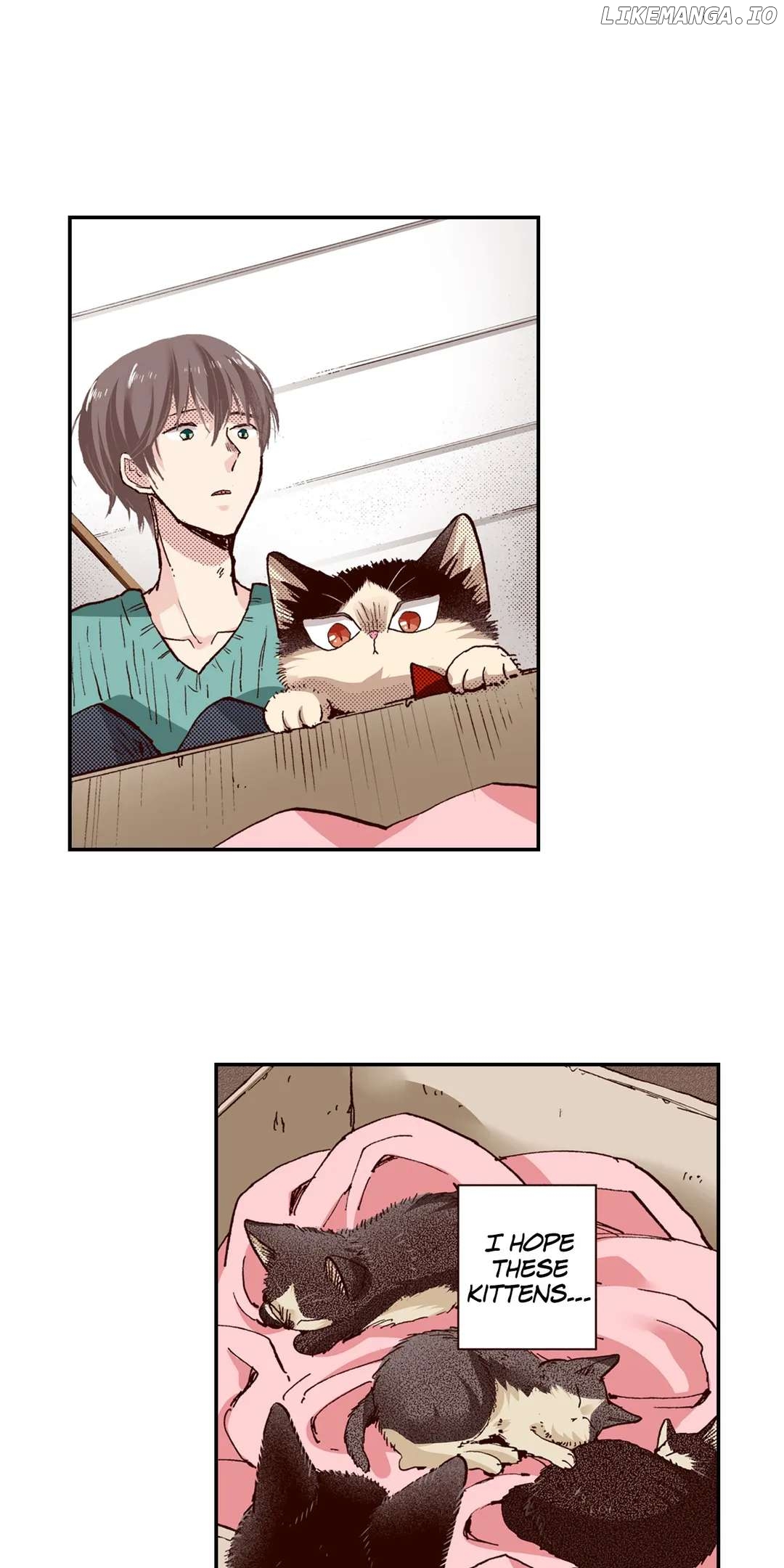 Doukyonin wa Hiza, Tokidoki, Atama no Ue. chapter 64 - page 13