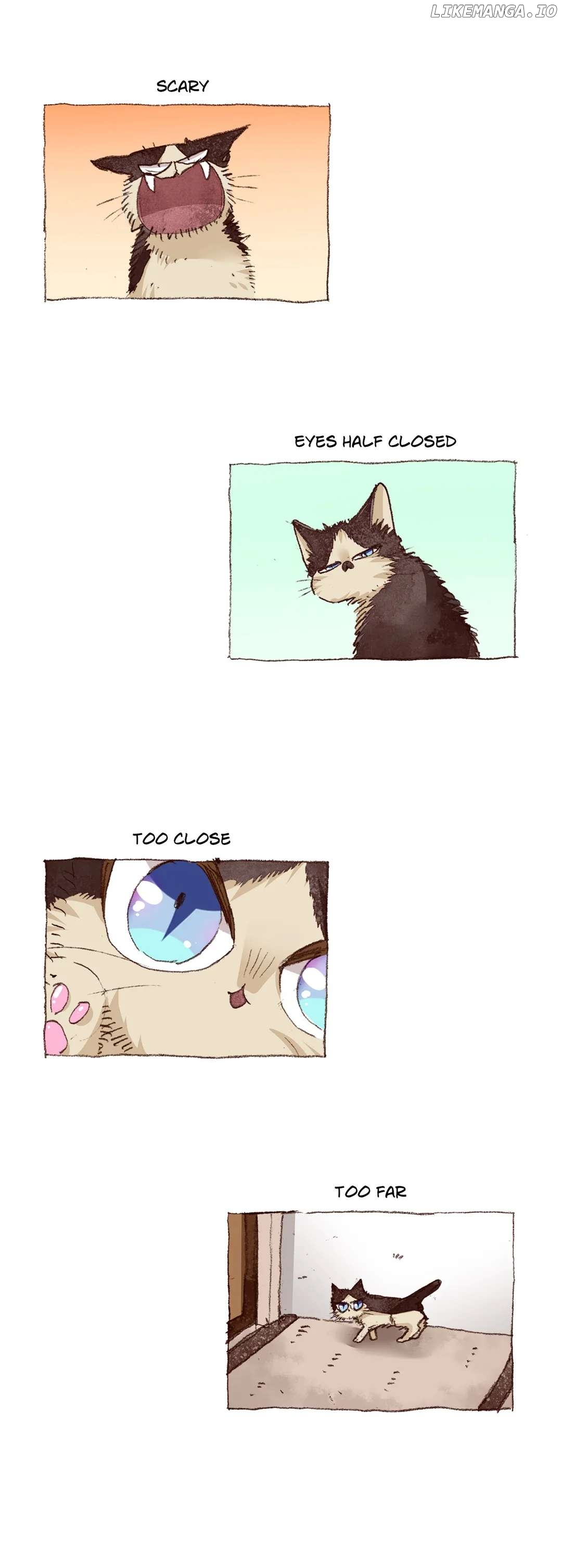 Doukyonin wa Hiza, Tokidoki, Atama no Ue. chapter 64 - page 19