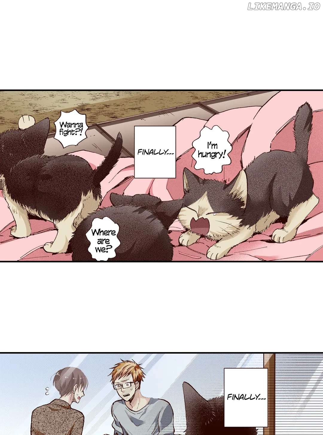 Doukyonin wa Hiza, Tokidoki, Atama no Ue. chapter 65 - page 1
