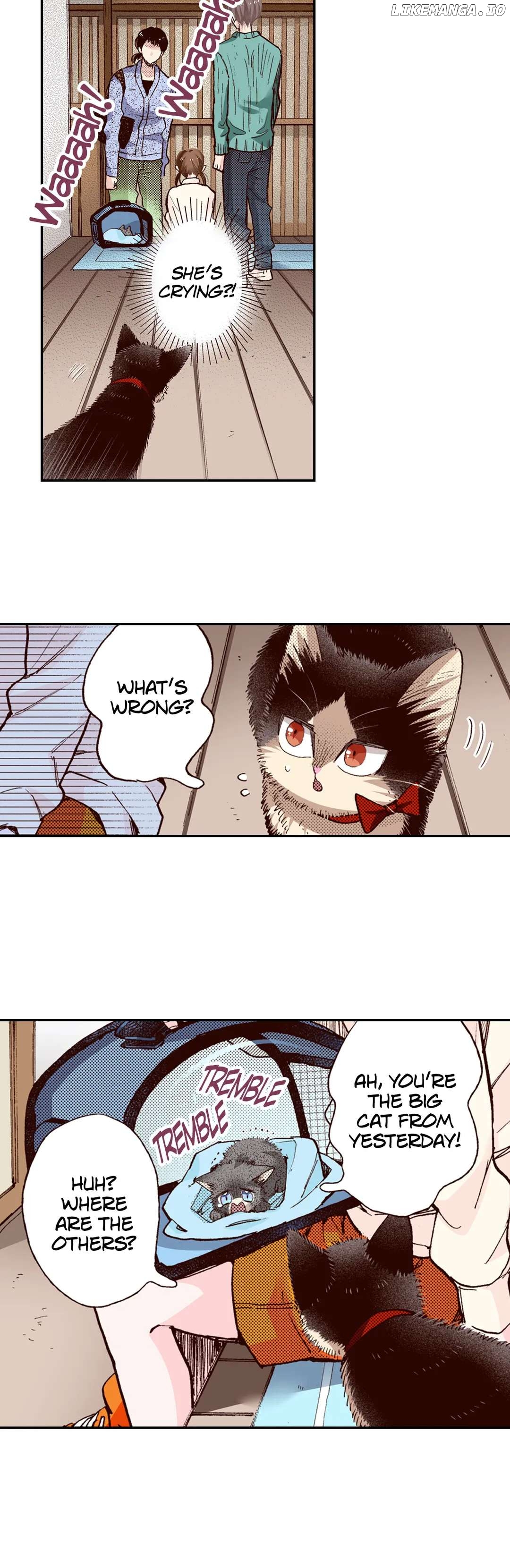 Doukyonin wa Hiza, Tokidoki, Atama no Ue. chapter 65 - page 34