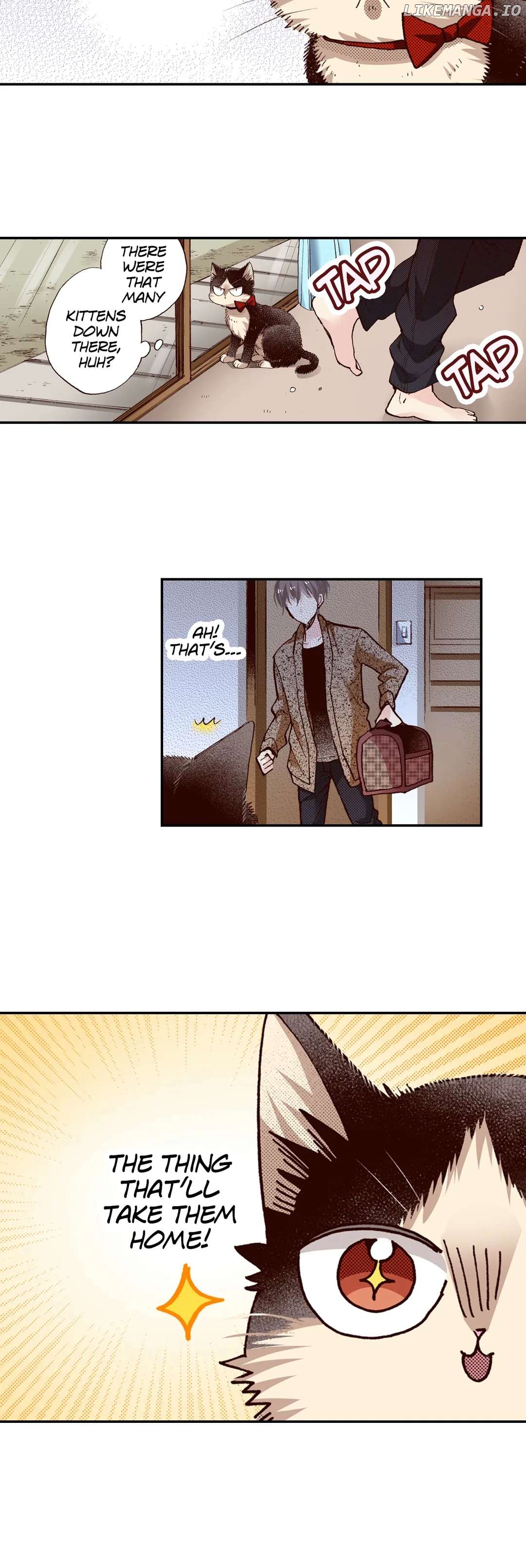 Doukyonin wa Hiza, Tokidoki, Atama no Ue. chapter 65 - page 4