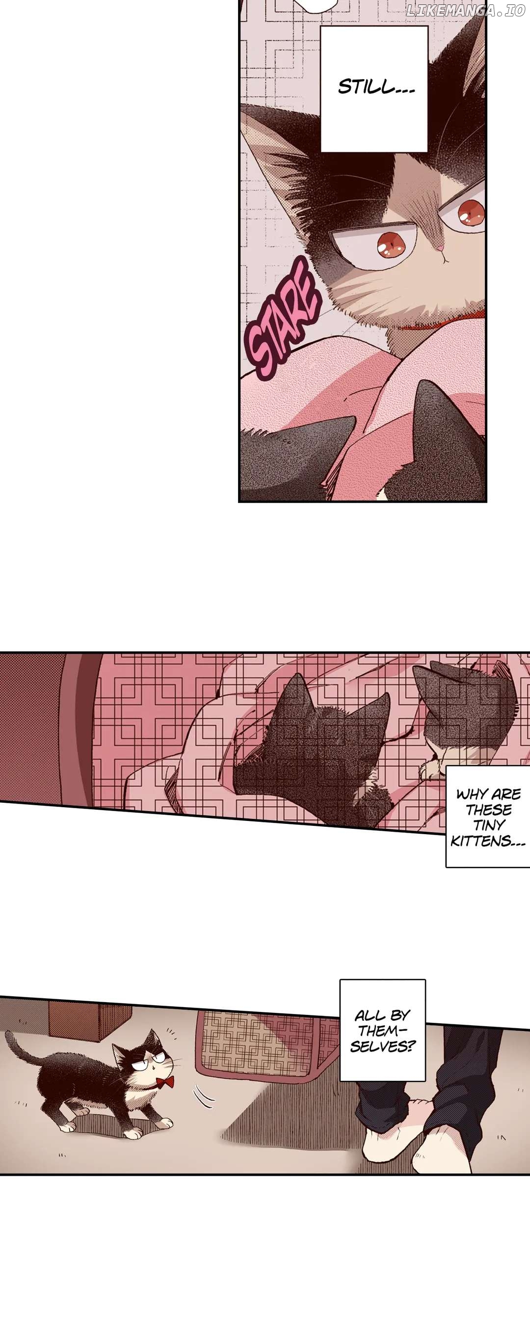 Doukyonin wa Hiza, Tokidoki, Atama no Ue. chapter 65 - page 6