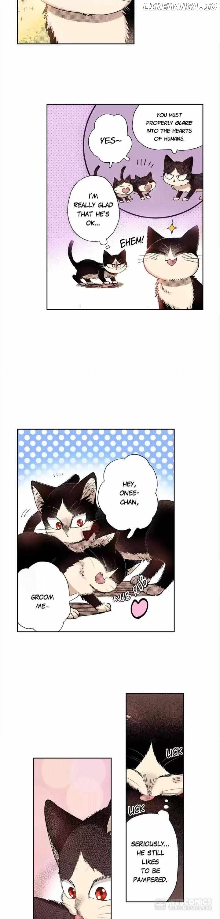 Doukyonin wa Hiza, Tokidoki, Atama no Ue. chapter 28 - page 8