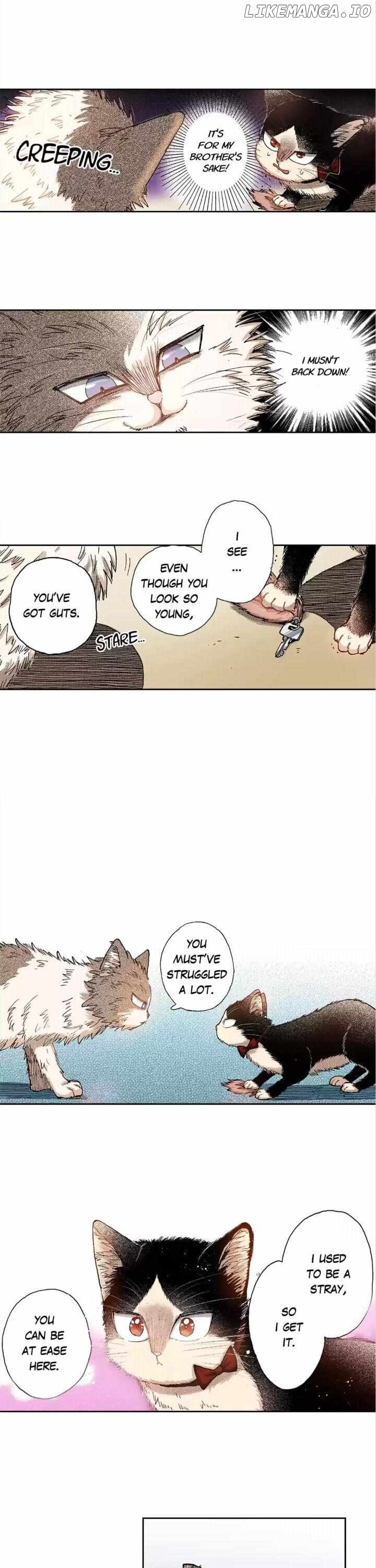 Doukyonin wa Hiza, Tokidoki, Atama no Ue. chapter 31 - page 3