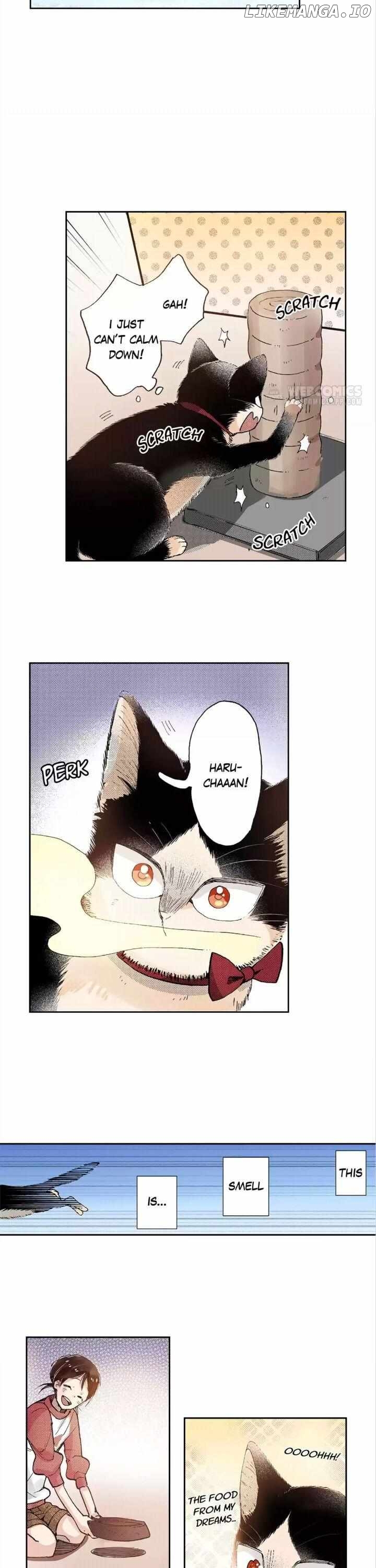 Doukyonin wa Hiza, Tokidoki, Atama no Ue. chapter 43 - page 7