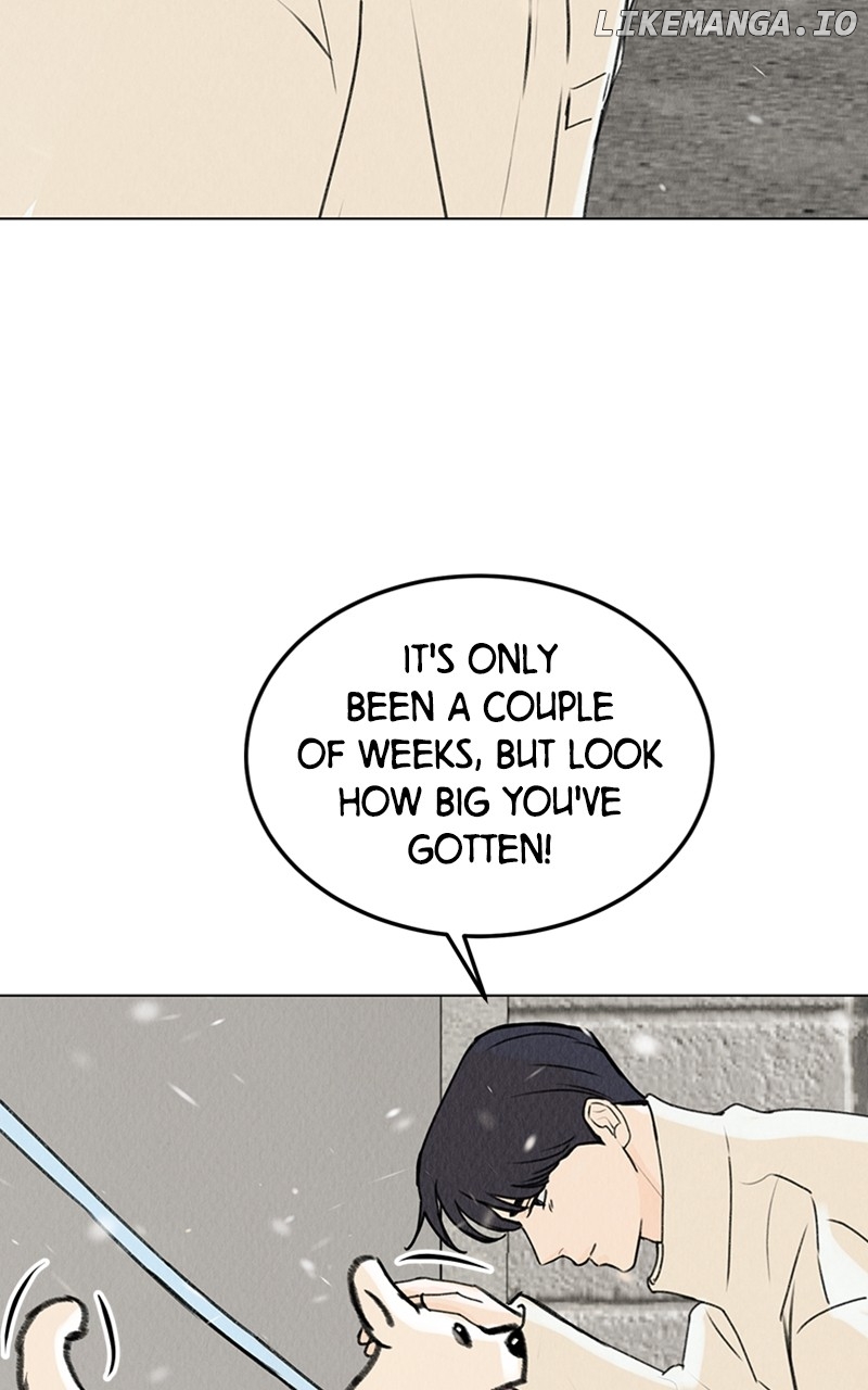 Want to See My Cat? Chapter 20 - page 59