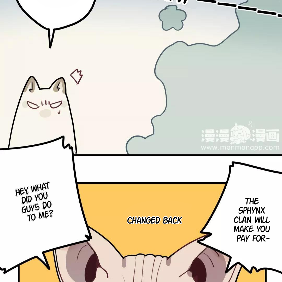 Catman and Dogman Chapter 135 - page 19