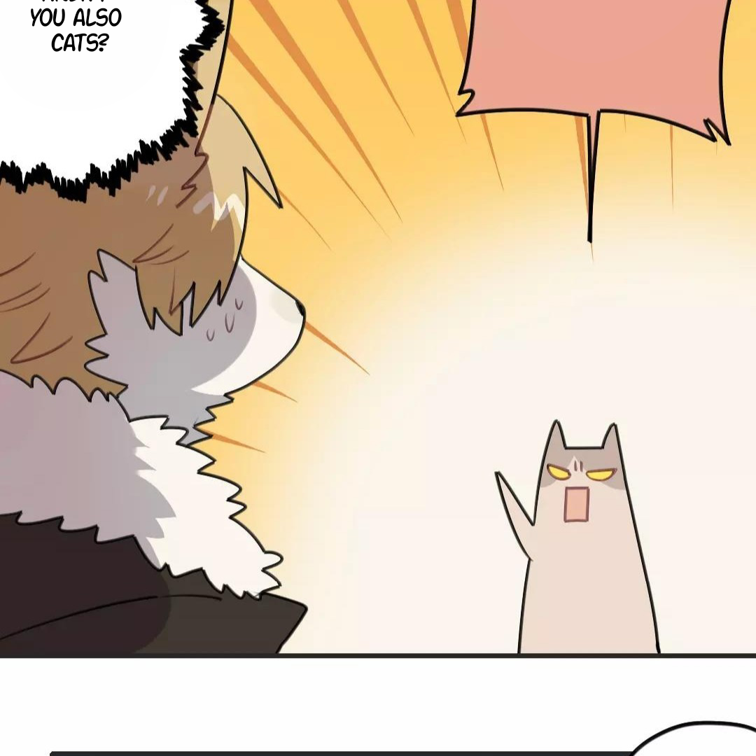Catman and Dogman Chapter 144 - page 17