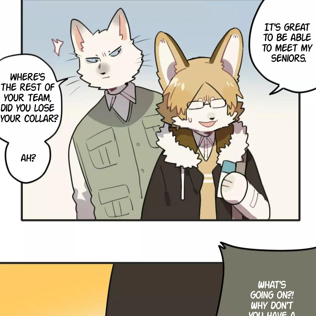 Catman and Dogman Chapter 144 - page 18