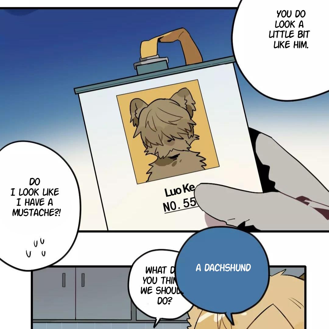 Catman and Dogman Chapter 152 - page 20