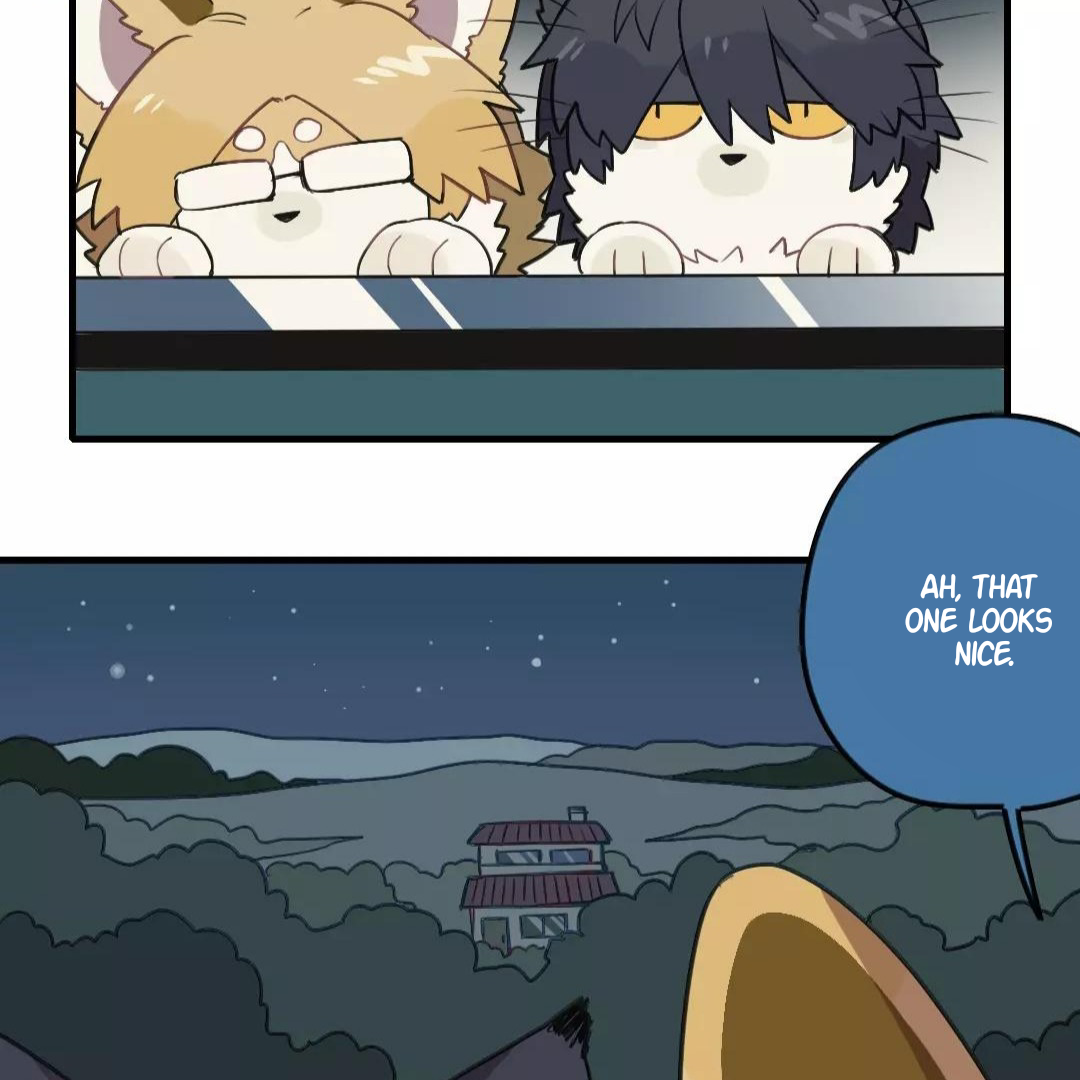 Catman and Dogman Chapter 156 - page 5