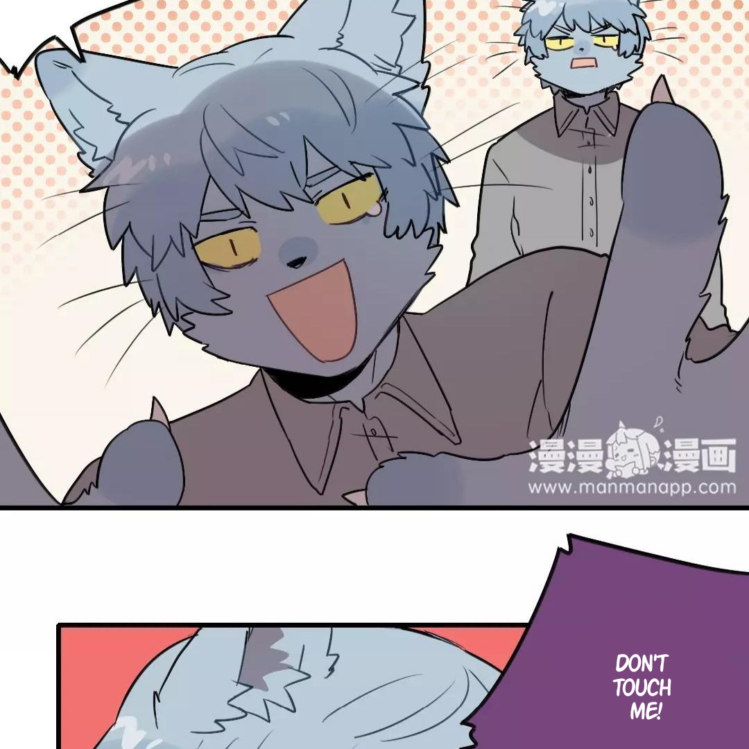 Catman and Dogman Chapter 157 - page 4