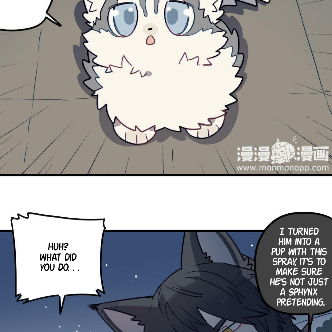 Catman and Dogman Chapter 163 - page 19