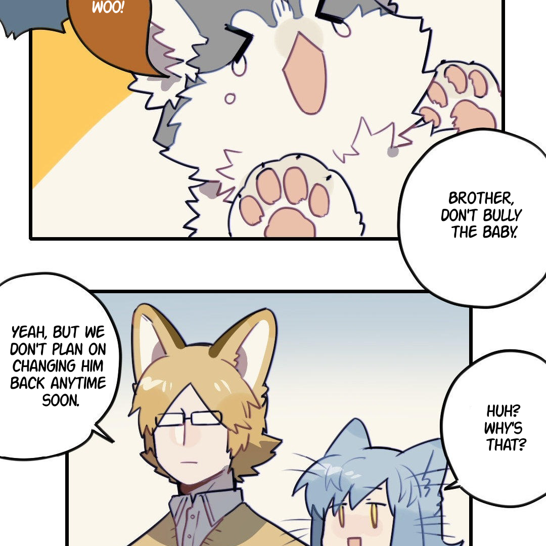 Catman and Dogman Chapter 164 - page 6