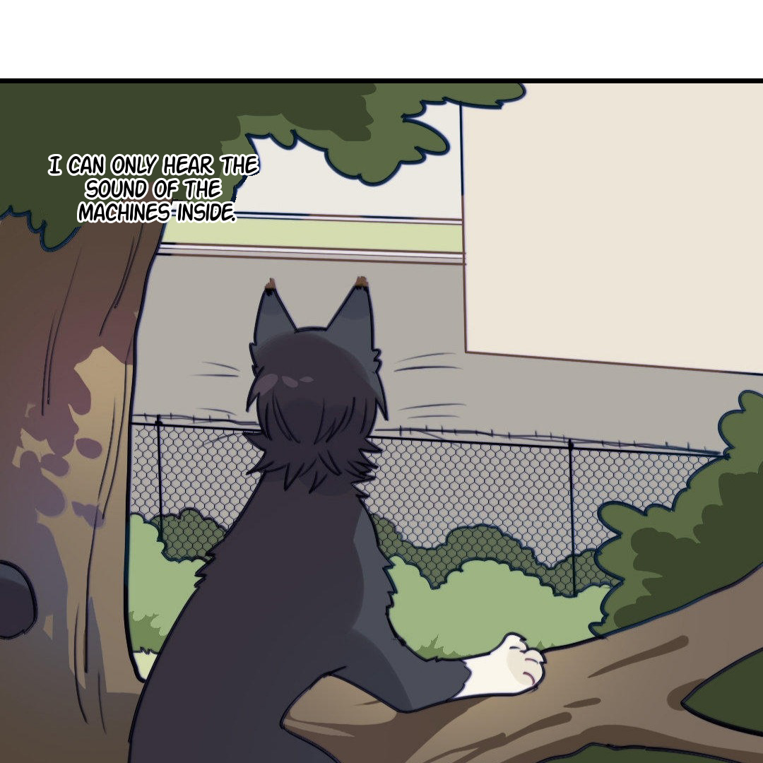 Catman and Dogman Chapter 170 - page 3