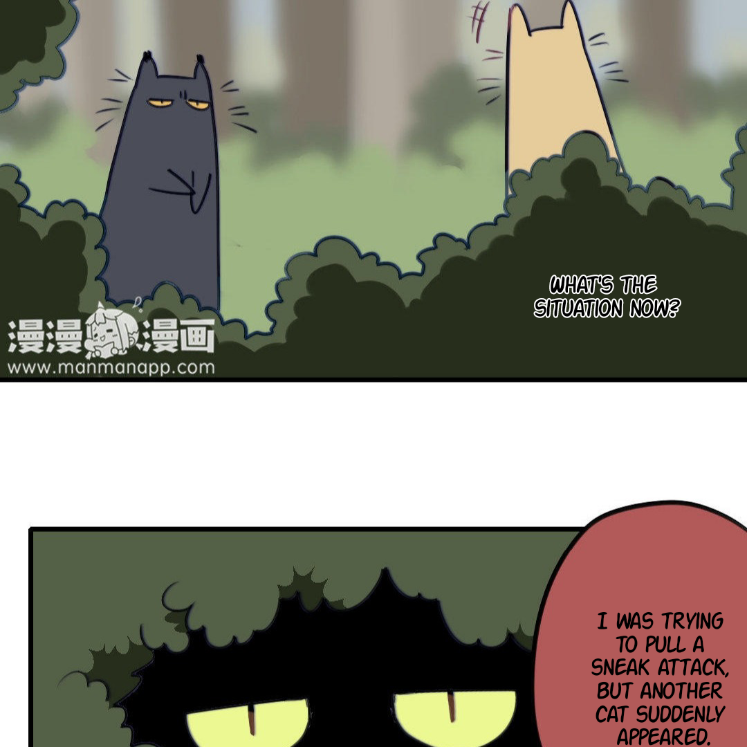 Catman and Dogman Chapter 171 - page 11