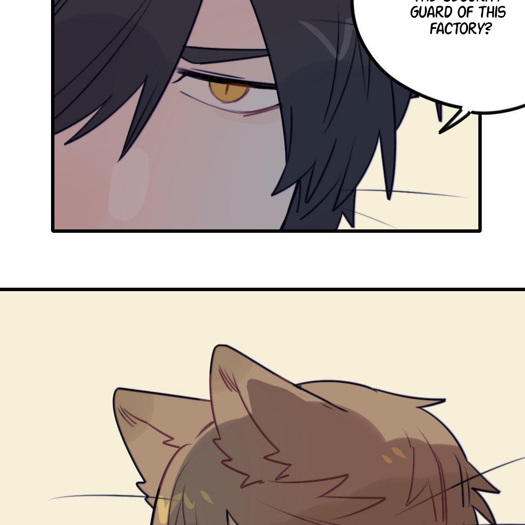 Catman and Dogman Chapter 171 - page 5