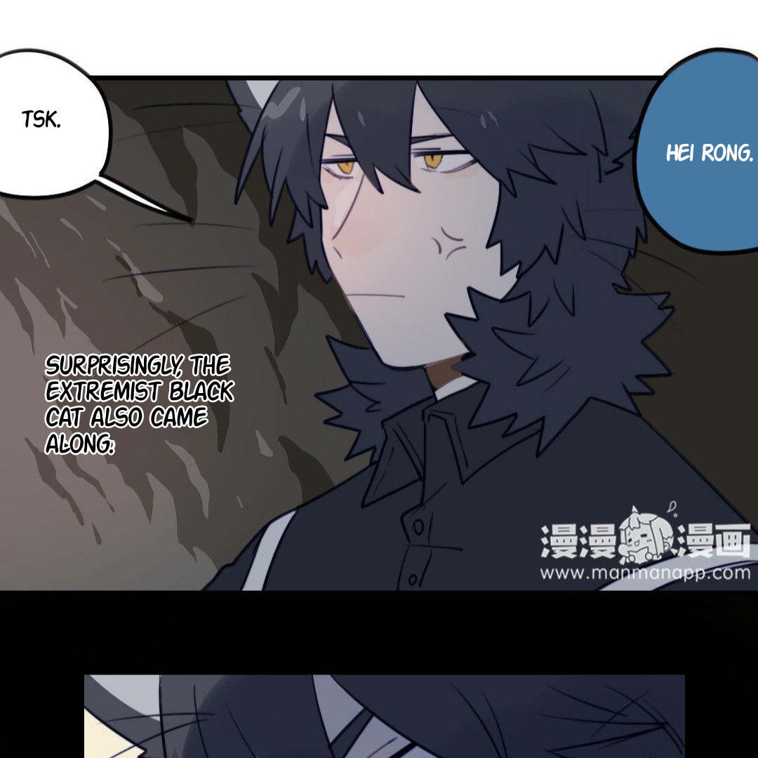 Catman and Dogman Chapter 174 - page 12