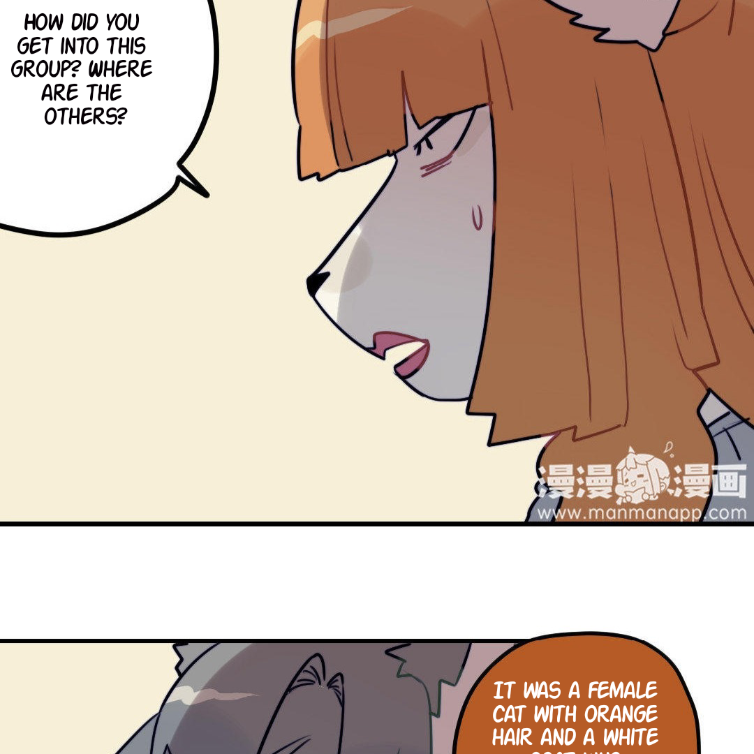 Catman and Dogman Chapter 186 - page 11
