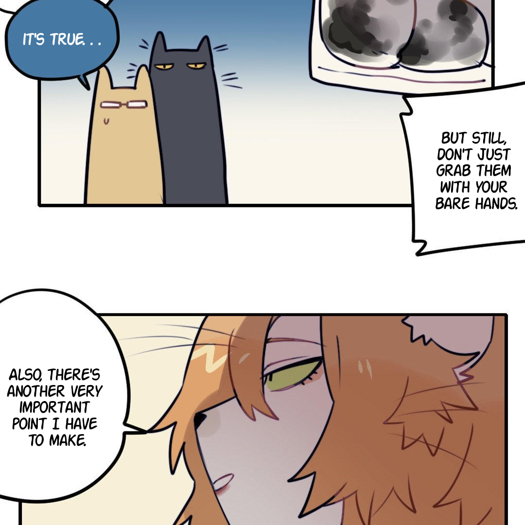 Catman and Dogman Chapter 187 - page 11