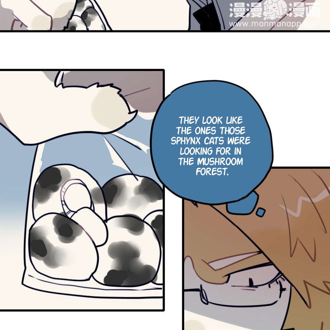 Catman and Dogman Chapter 187 - page 3