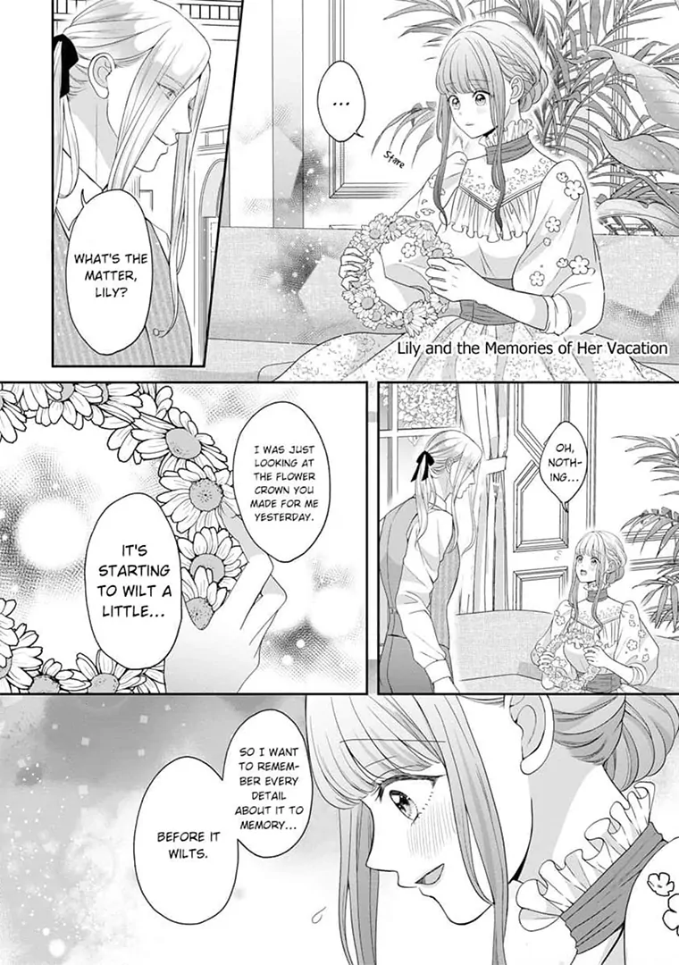 Lily: Lost and Found Again ~By the Sweet Lies and Love of a Nobleman Since Their First Night~ Chapter 12.5 - page 4