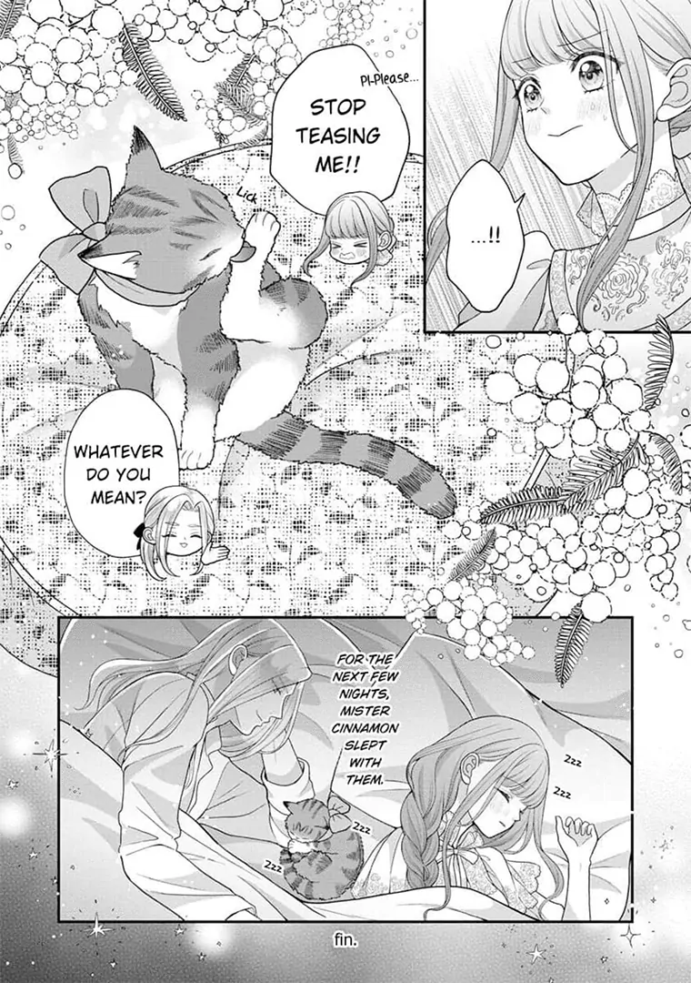 Lily: Lost and Found Again ~By the Sweet Lies and Love of a Nobleman Since Their First Night~ Chapter 18.5 - page 5