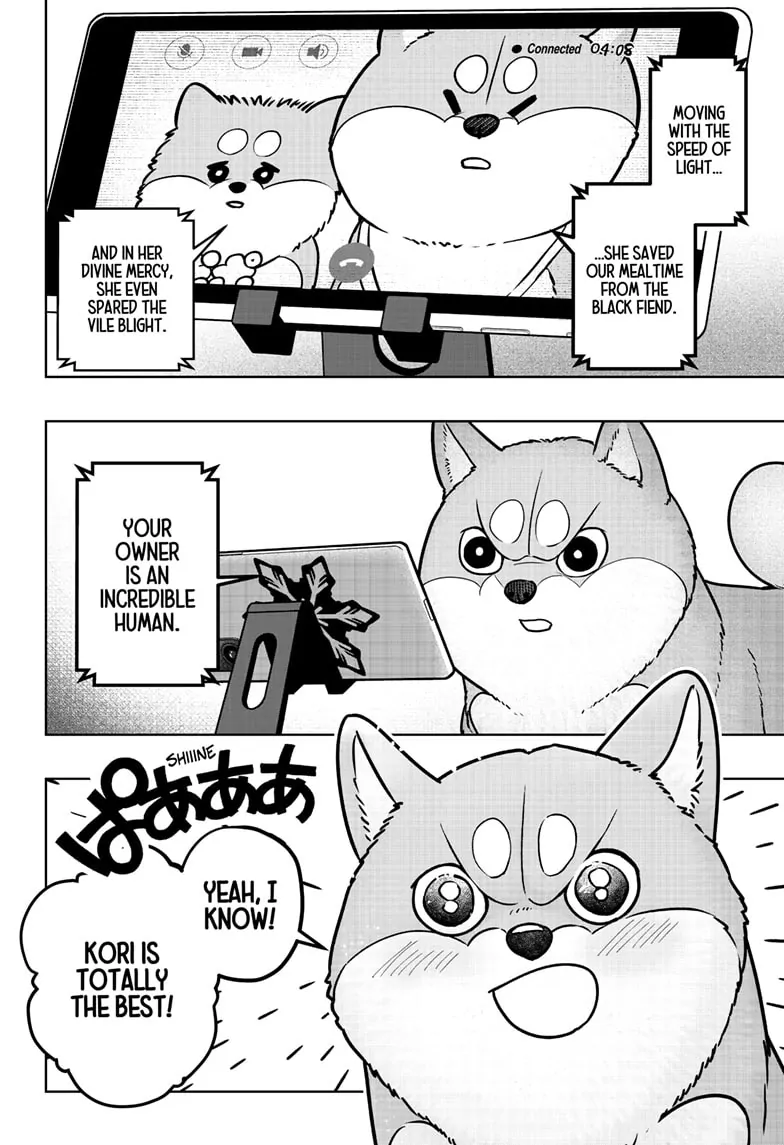 Shiba Inu Rooms Chapter 8 - page 24