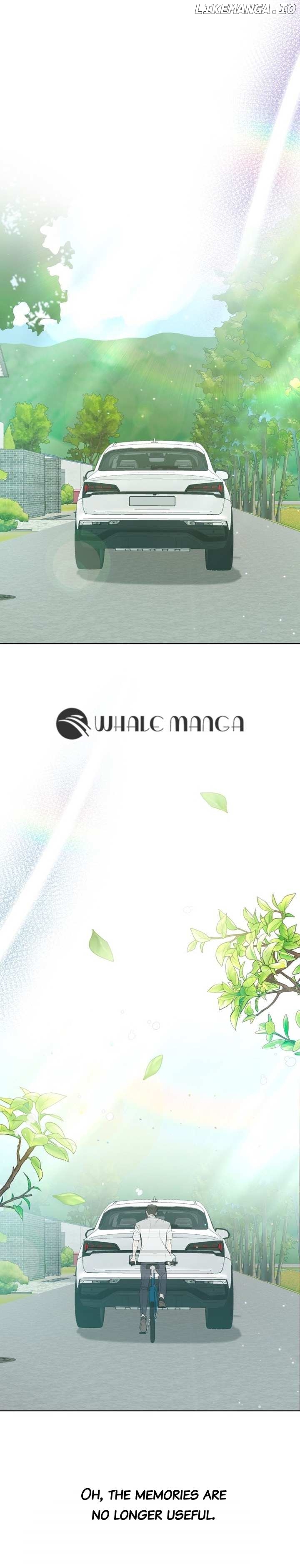 In The Shadow of The Spring Chapter 1 - page 46