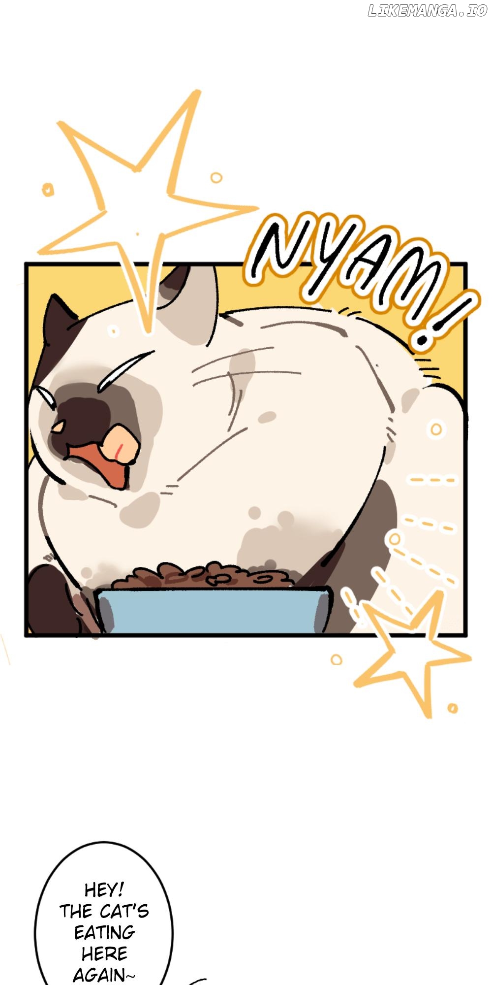Fluffy Tummy Chapter 2 - page 1