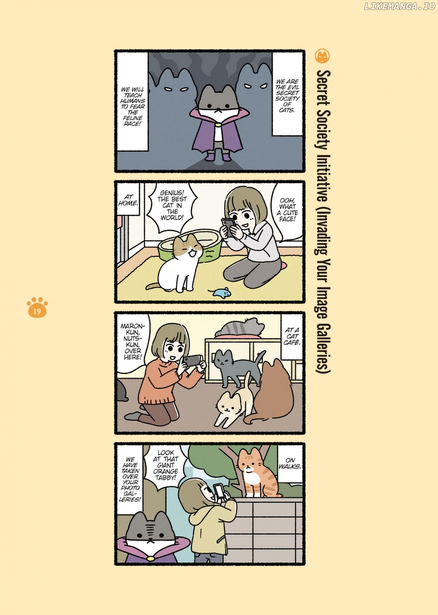 Aku no Himitsu Soushiki Neko Chapter 2 - page 3