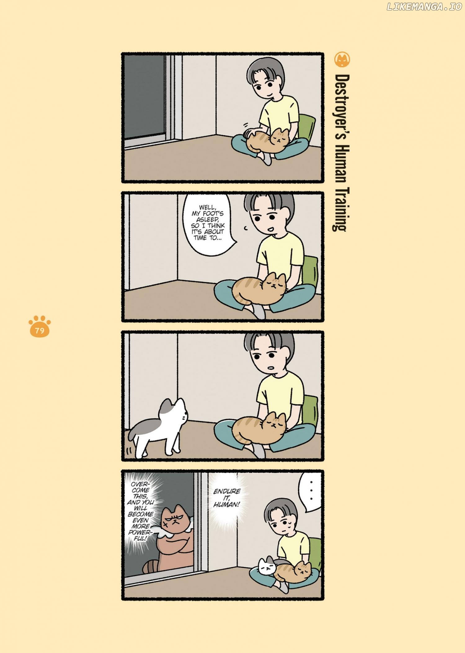 Aku no Himitsu Soushiki Neko Chapter 8 - page 7