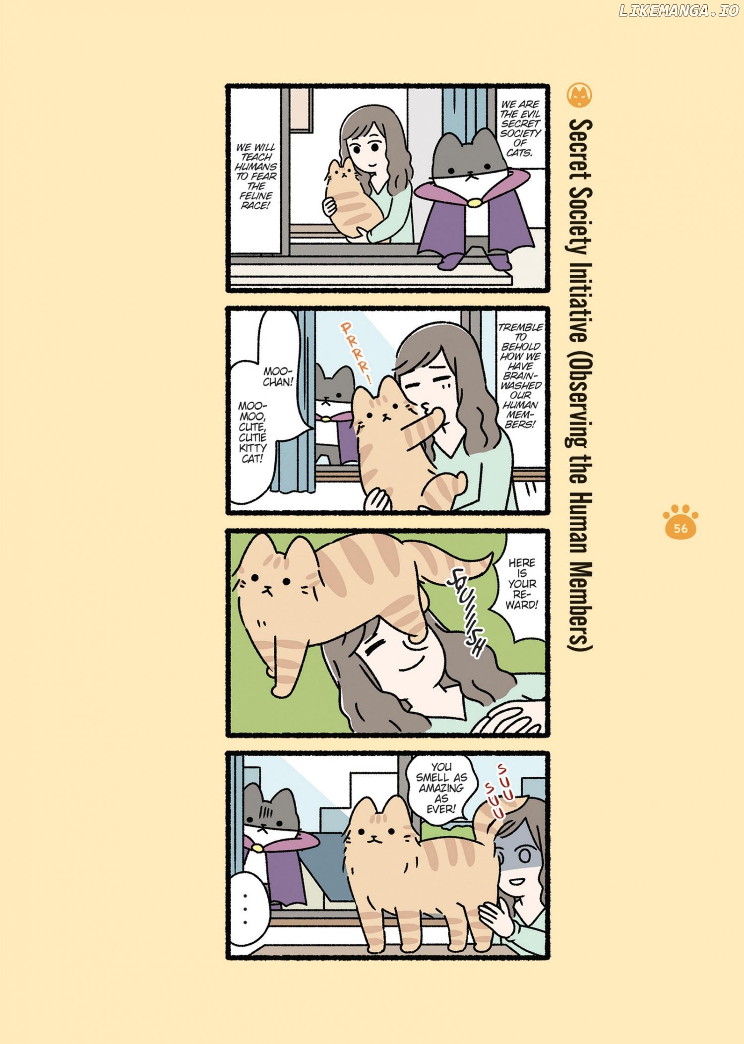 Aku no Himitsu Soushiki Neko Chapter 6 - page 2