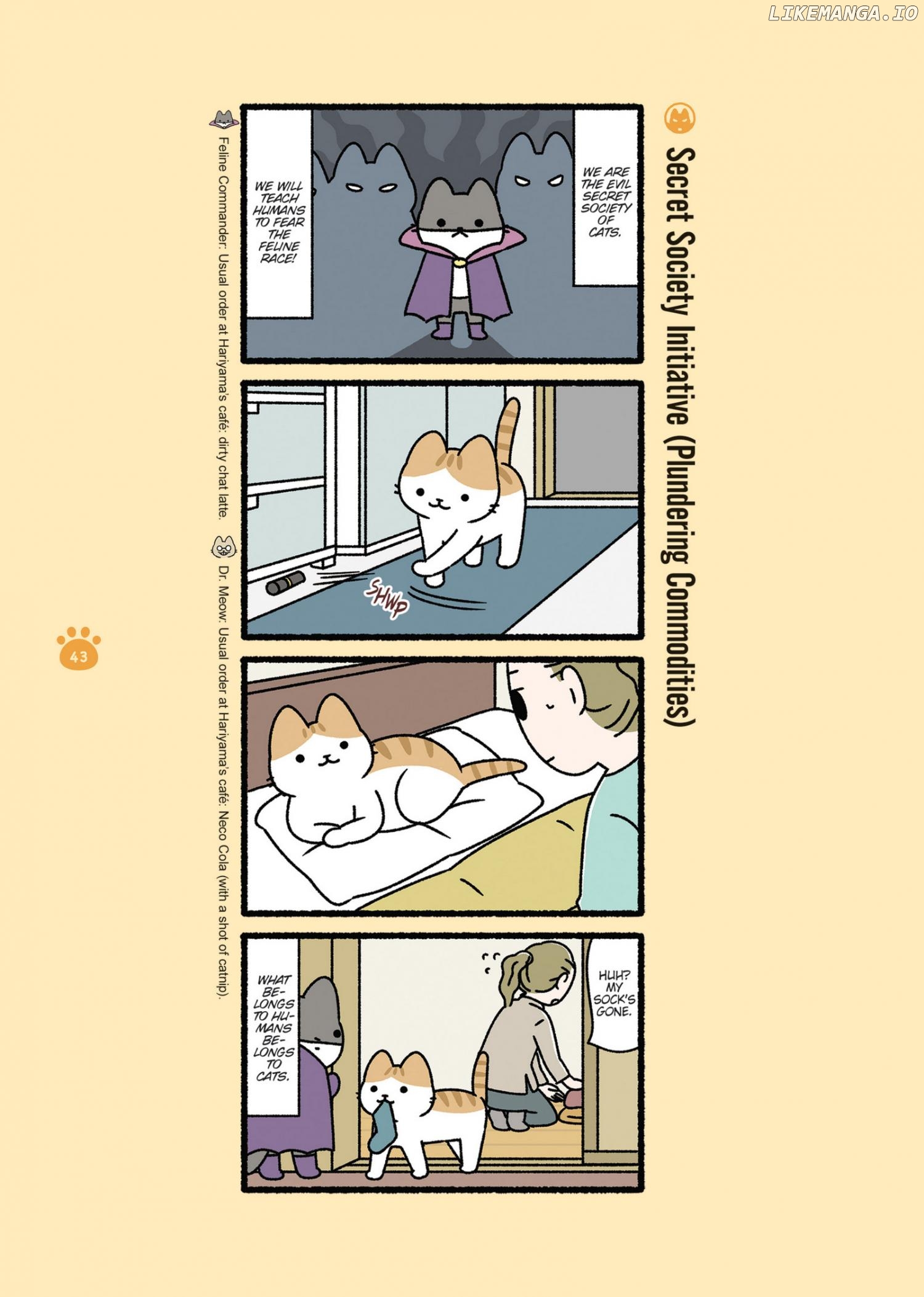 Aku no Himitsu Soushiki Neko Chapter 5 - page 1