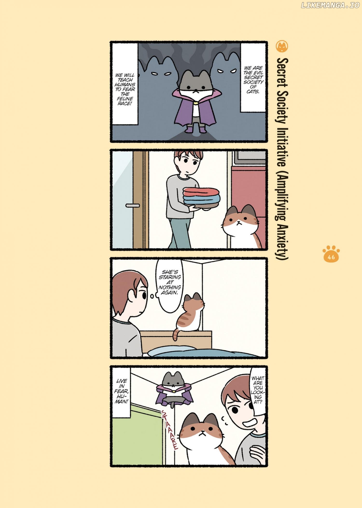 Aku no Himitsu Soushiki Neko Chapter 5 - page 4