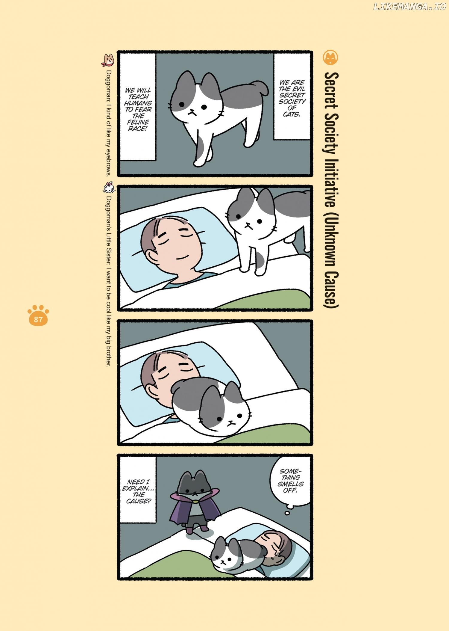 Aku no Himitsu Soushiki Neko Chapter 19 - page 1