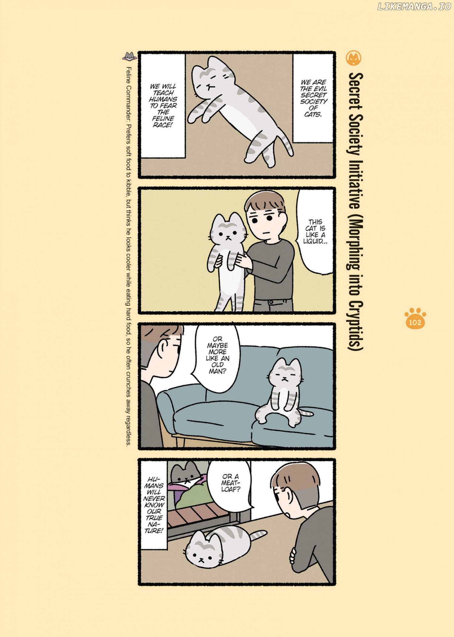Aku no Himitsu Soushiki Neko Chapter 10 - page 1