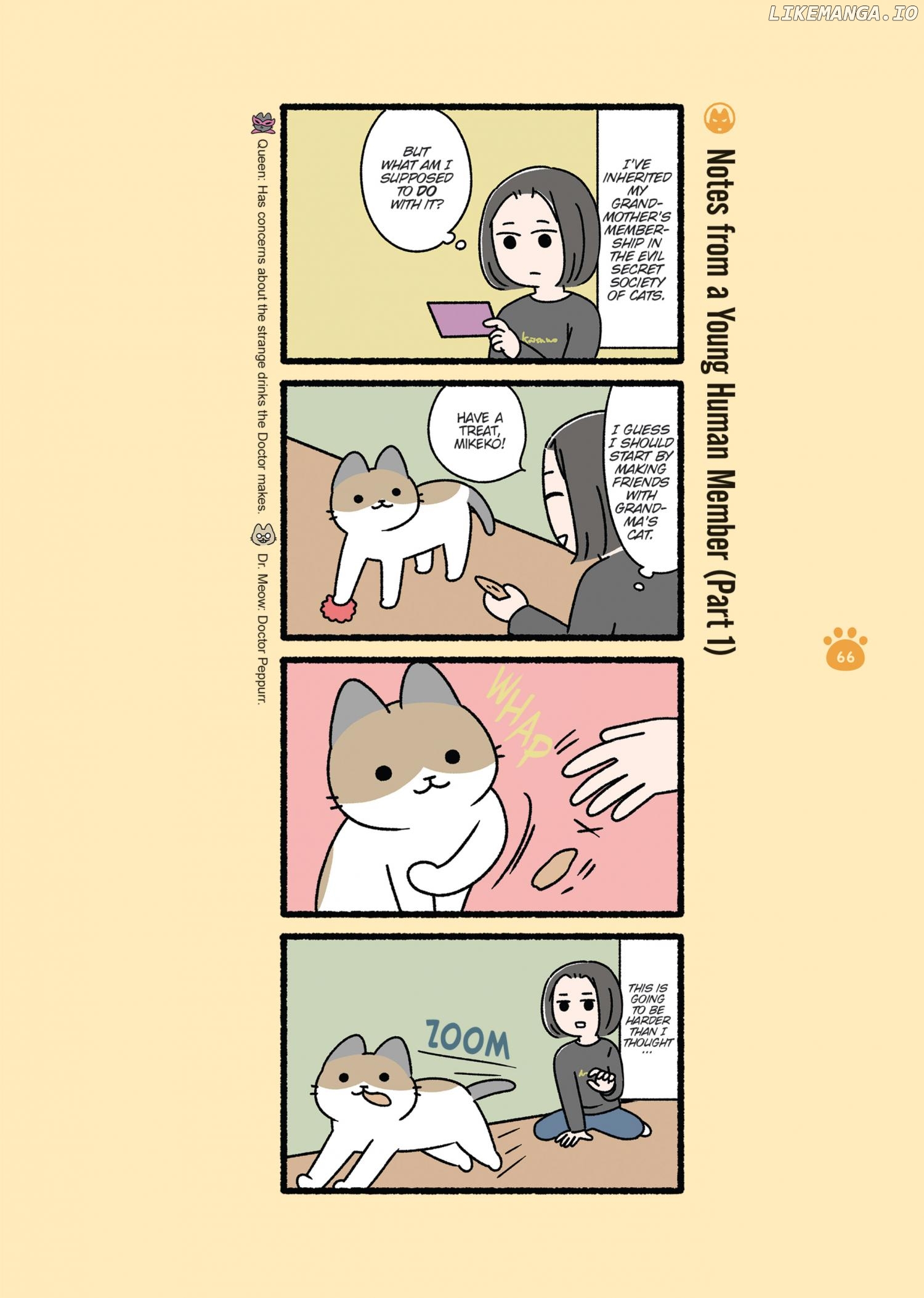 Aku no Himitsu Soushiki Neko Chapter 17 - page 6